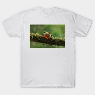 Red-eyed Tree Frog - Costa Rica T-Shirt